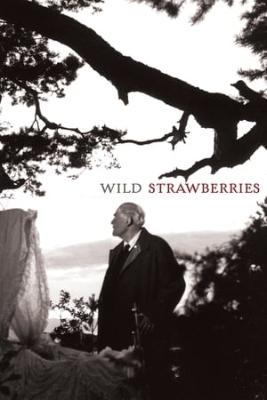 Strawberry (2019) Hindi Dubbed 400MB